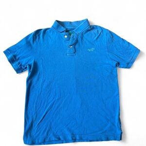 Hollister Vibrant Blue Polo Shirt